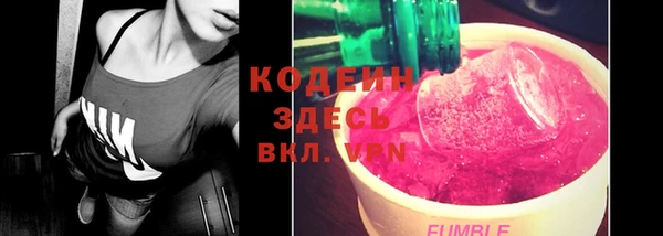 шишки Покачи