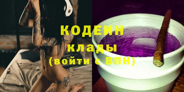 кокс Алексин