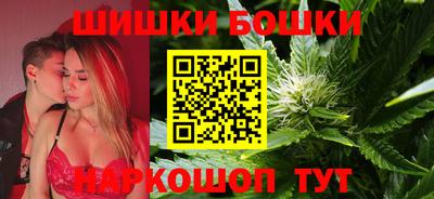 тгк Новозыбков