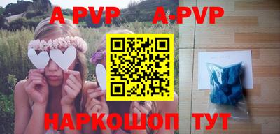 тгк Новозыбков