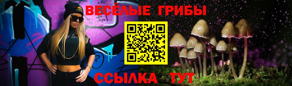 Галлюциногенные грибы Psilocybine cubensis  Вход с VPN  Родники 